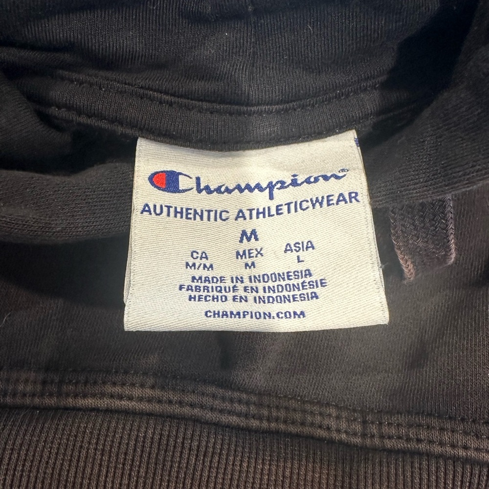 Champion Men's Vintage Wash Varsity Hoodie, Arch Logo - Size Medium - Picture 4 of 6